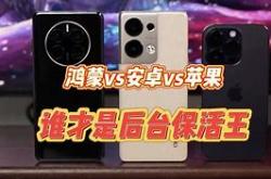 开云体育登录入口-奥地利背水一战迎战摩尔多瓦，谁能笑到最后的简单介绍